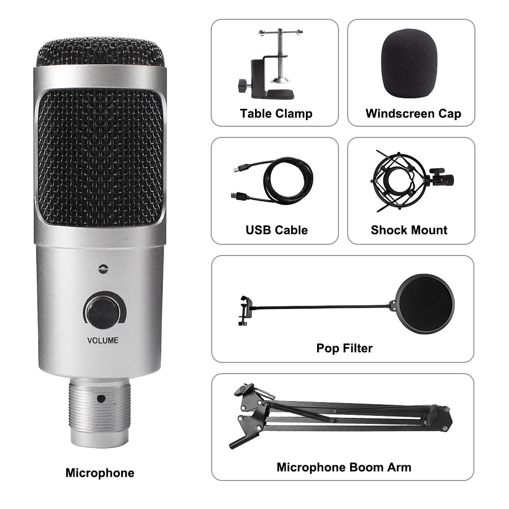 USB Microphone Condenser D80 Recording Microphone with Stand