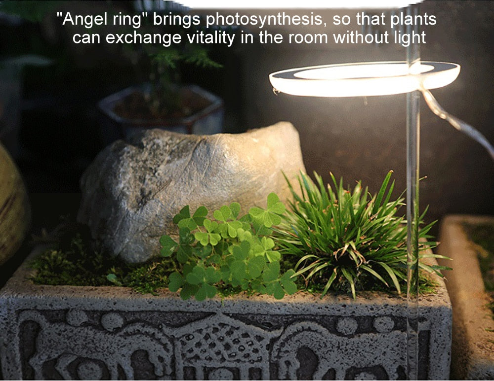 Angel Three Ring Grow Light